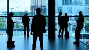 30% de directrices au plus haut niveau, mission quasi r&eacute;ussie pour les grandes entreprises fran&ccedil;aises