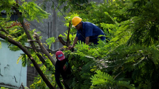 Melissa se convierte en huracán en el Caribe y se encamina a Jamaica