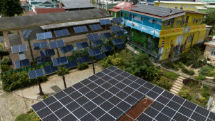 La energía solar comunitaria, alternativa para los apagones en Puerto Rico