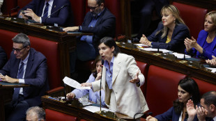Schlein, Meloni ha giurato sulla Costituzione che &egrave; antifascista