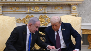 Trump, 'ho detto a Netanyahu: è la tua occasione per vincere'