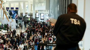 Los republicanos de la C&aacute;mara rechazan el plan del Senado para poner fin al caos en los aeropuertos de EEUU