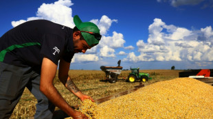 Brasil mantiene la tasa de desempleo en m&iacute;nimos hist&oacute;ricos