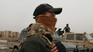 Seis heridos, dos graves, en un ataque con cuchillo en una manifestaci&oacute;n kurda en B&eacute;lgica