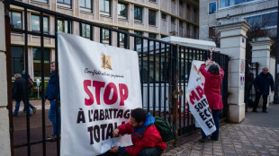 El Parlamento Europeo votar&aacute; el 21 de enero si recurre a la justicia para impugnar el acuerdo con el Mercosur