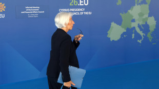 Lagarde, 'le risposte alla crisi devono essere mirate e temporanee'