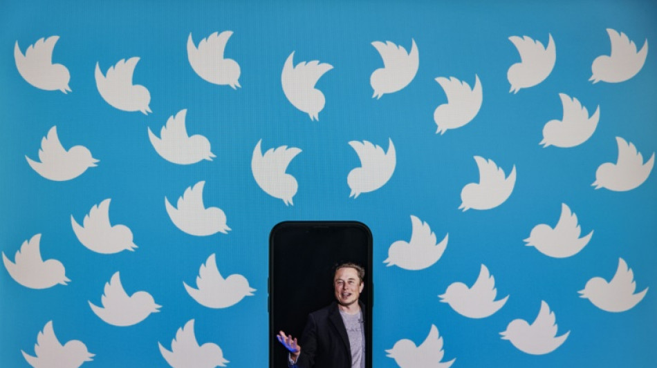 Twitter debe dar m&aacute;s datos pero no el volumen "absurdo" que demanda Musk, dice jueza