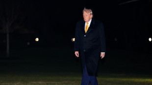 'Trump valuta diverse opzioni su Groenlandia, non escluso esercito'