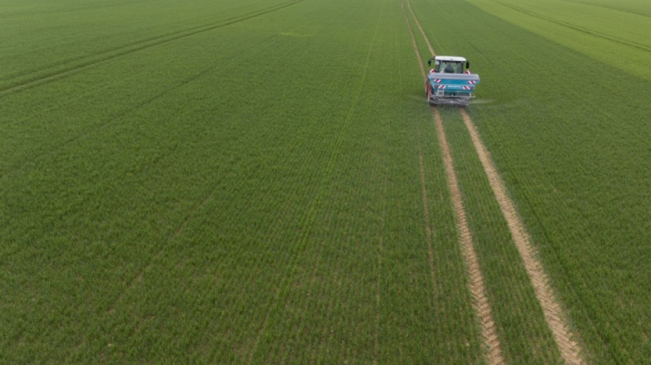 Une agriculture sans pesticide, "c'est possible", pour l'Inrae