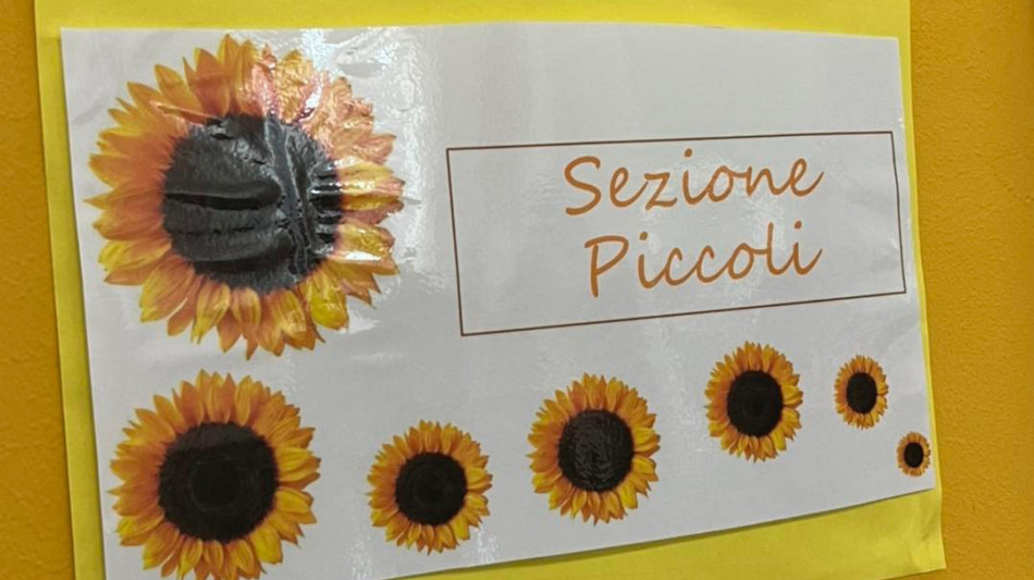 Inps, bonus asilo nido anche per i micronidi