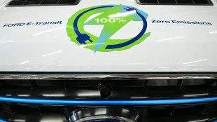 Ford emancipa su l&iacute;nea de el&eacute;ctricos para dotarla de "cultura start-up"