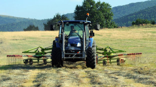 Ismea Investe, al via la misura per societ&agrave; di capitali della filiera agroalimentare