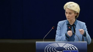 La UE diversific&oacute; su suministro de gas y puede prescindir de Rusia