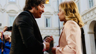 Milei, grazie all'impegno di Meloni firmiamo l'intesa Ue-Mercosur