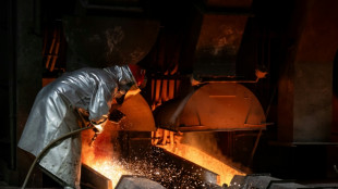 'Metals of the future': copper and silver flow beneath Poland's surface