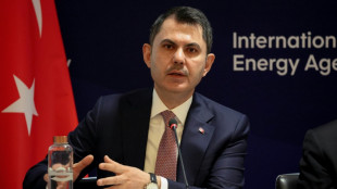 Oil crisis fuels calls to speed up clean energy transition