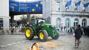 Mercosur: avant de signer, l'UE tente une derni&egrave;re fois de rassurer les agriculteurs