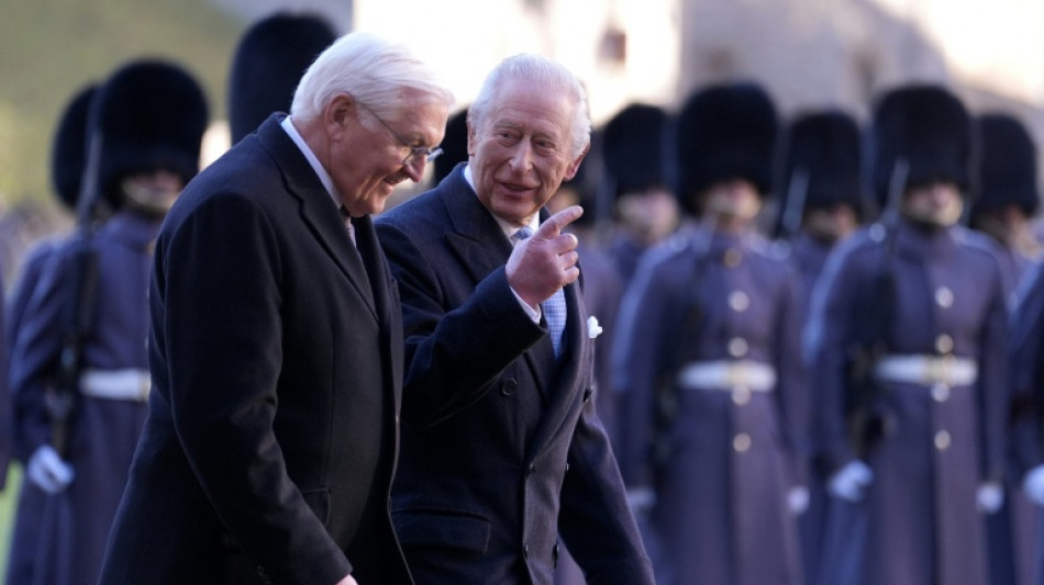 Seltene Ehre: Steinmeier h&auml;lt Rede vor britischem Parlament