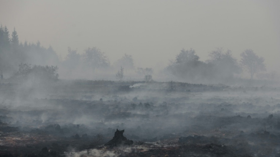 Brand in Belgien: Feuer breitet sich nicht mehr in Richtung Deutschland aus