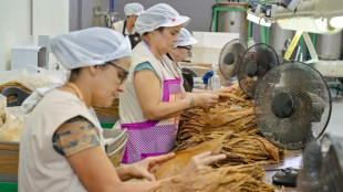 Cuba autoriza por primera vez empresas mixtas entre el Estado y el sector privado