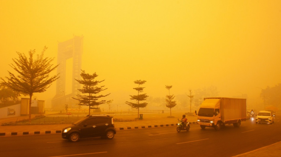 Incendies en Indon&eacute;sie : quel est l'impact des fum&eacute;es sur la sant&eacute; ?