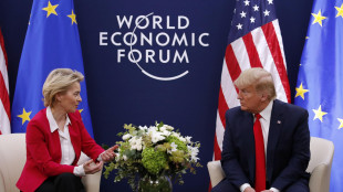 Trump: 'Von der Leyen è fantastica, la vedrò sicuramente'