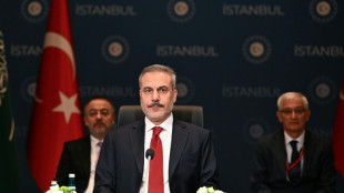 Türkei: Muslimische Staaten pochen auf palästinensische Selbstverwaltung im Gazastreifen