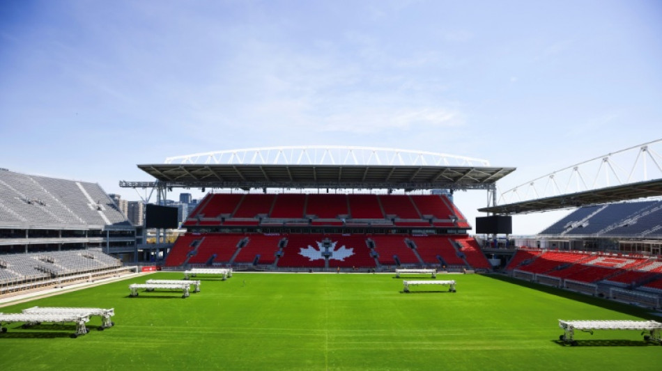 Toronto's Bosnians relish improbable World Cup showdown