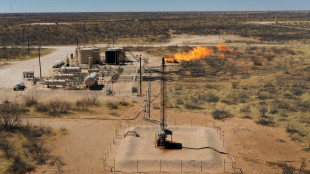 Trump flexibiliza normas que imped&iacute;an a productores de petr&oacute;leo y gas liberar metano