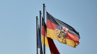 Gr&uuml;ne im Saarland w&auml;hlen Vizechefin Lahoda zu Spitzenkandidatin f&uuml;r Landtagswahl