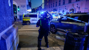 La polic&iacute;a investiga como "acto terrorista" un tiroteo que dej&oacute; dos muertos en Oslo