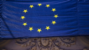 Via libera dell'Eurocamera all'accordo sui dazi Ue-Usa