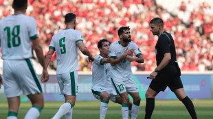 Mondiali: caso arbitro al Var Evans, Fifa 'nessuna violazione del codice disciplinare'