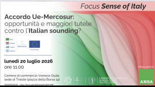 Ue-Mercosur, focus su opportunit&agrave; e tutele per i marchi italiani