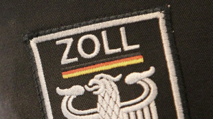 Bei Zollkontrolle in Brandenburg: Beamte finden kleinen Affen in Auto