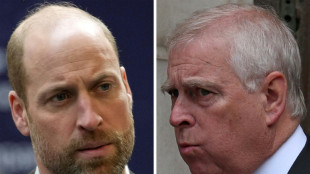 Prinz William und Kate &auml;u&szlig;ern sich best&uuml;rzt &uuml;ber j&uuml;ngste Epstein-Enth&uuml;llungen 