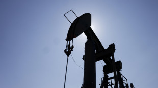 Petrolio in lieve risalita, Wti a 95,52 dollari