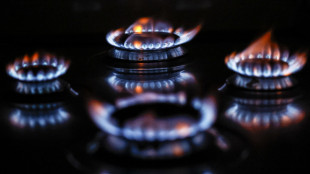 In netto rialzo l'indice italiano del prezzo del gas a 53,07 euro al MWh