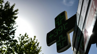 La canicule encha&icirc;ne les records, infrastructures et organismes &agrave; rude &eacute;preuve
