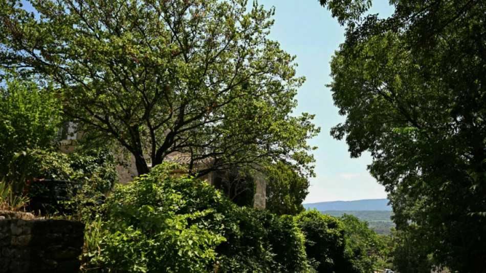 Francia encarcela a dos hombres por el tiroteo mortal durante una boda