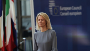 Kallas sente i ministri degli Esteri di Iran, Turchia e Qatar