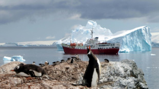 Les manchots empereurs menacés "plus vite que prévu" par le réchauffement climatique