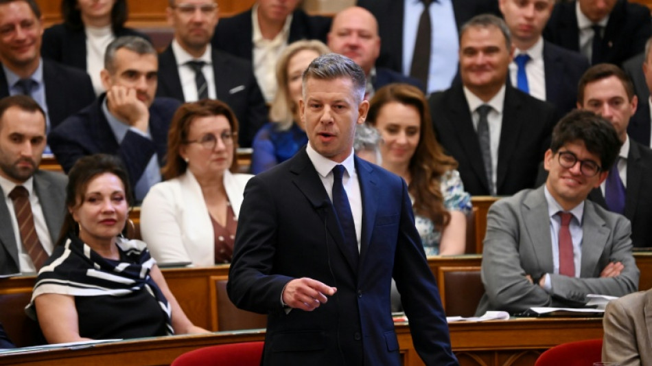 La ofensiva del Parlamento de Hungr&iacute;a contra la "mafia" de Orban gana impulso