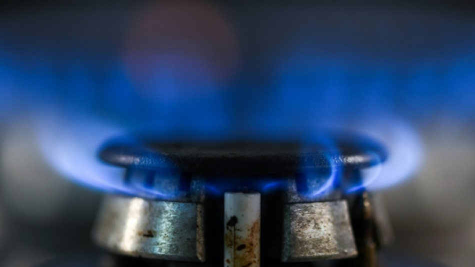 Wirtschaftswissenschaftler: Mit h&ouml;heren Gaspreisen droht Inflation von sechs Prozent