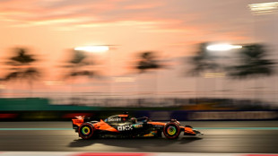 F1: Norris encore devant Verstappen lors des essais libres 2 à Abou Dhabi, Piastri 11e