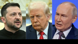 Waffenruhe-Gespräche in Istanbul: Putin nimmt nicht teil - Selenskyj in Ankara