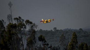 Controlados los incendios en Portugal pero la situaci&oacute;n sigue siendo "grave"