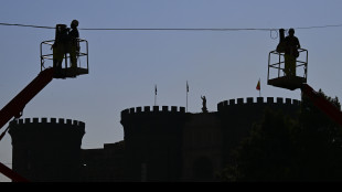 Istat,Pil 2025 +0,5% solo se aumento 0,2 punti in semestre