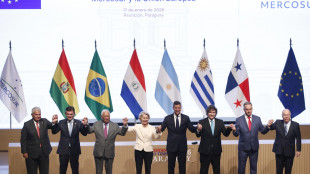 L'Ue procede con l'applicazione provvisoria dell'accordo Mercosur