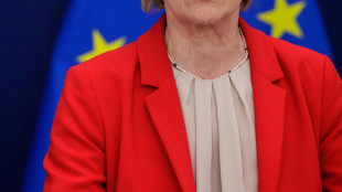 Von der Leyen, è urgente una soluzione diplomatica